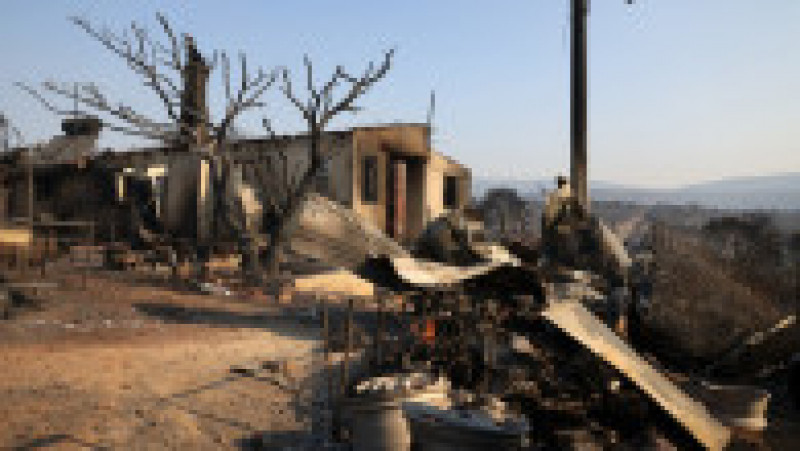 Incendiile de pădure care au cuprins satul Mandra au lăsat în urmă un peisaj apocaliptic. FOTO: Profimedia Images | Poza 8 din 12