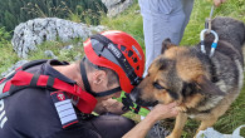 Sursa foto: Silvia Corina Ioniche / Facebook | Poza 7 din 7