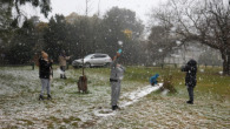 A nins în Johannesburg, Africa de Sud. Foto: Profimedia Images | Poza 2 din 5