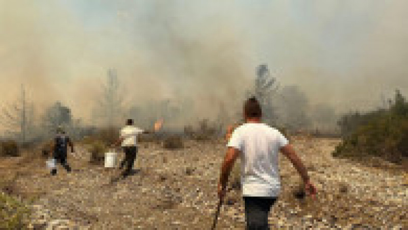 Voluntarii și pompierii încearcă să stingă incendiile de vegetație. Foto: Profimedia Images | Poza 11 din 21