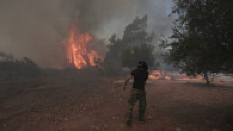 Voluntarii și pompierii încearcă să stingă incendiile de vegetație. Foto: Profimedia Images | Poza 8 din 21
