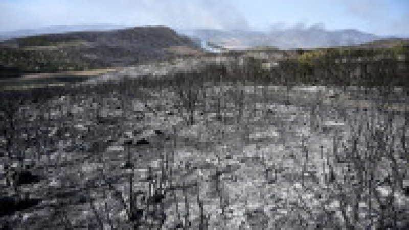 Incendii de vegetație în apropiere de orașul Volos, Foto: Profimedia Images | Poza 12 din 21