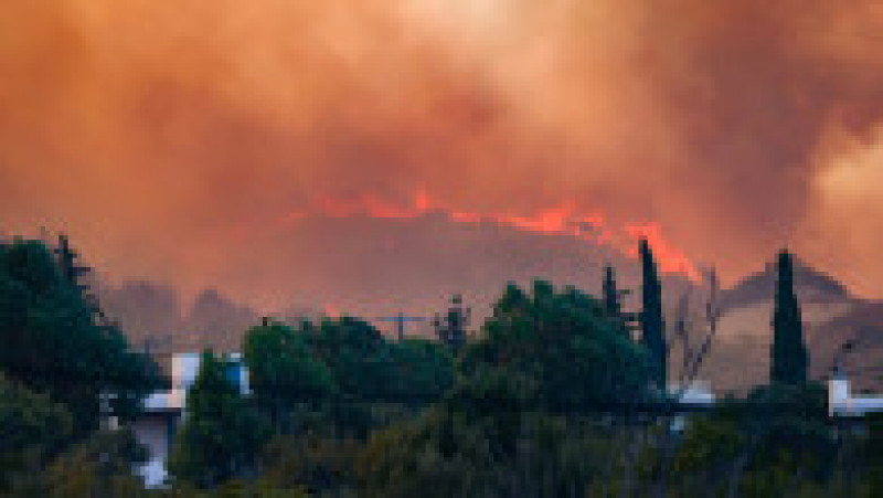 Incendii de vegetație pe insula Rodos. Foto: Profimedia Images | Poza 3 din 21