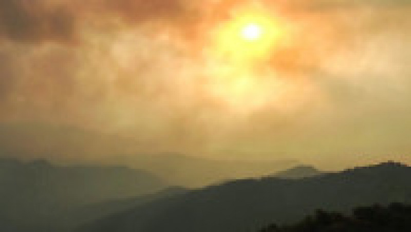 Incendii de vegetație pe insula Rodos. Foto: Profimedia Images | Poza 20 din 21