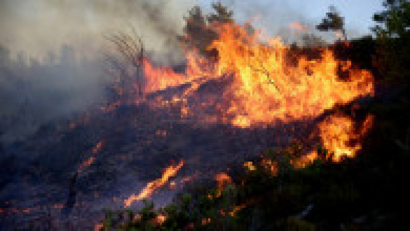 Incendii în Grecia. FOTO: Profimedia Images | Poza 19 din 19