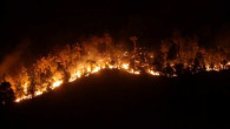 Grecia arde. După Rodos, urmează iadul din Corfu. FOTO: Profimedia Images | Poza 17 din 19