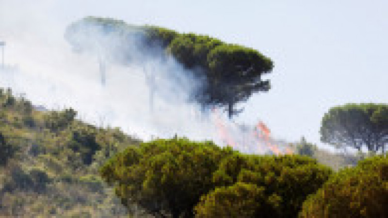 Dealurile din Palermo au luat foc, aeroportul a fost închis. FOTO: Profimedia Images | Poza 6 din 12