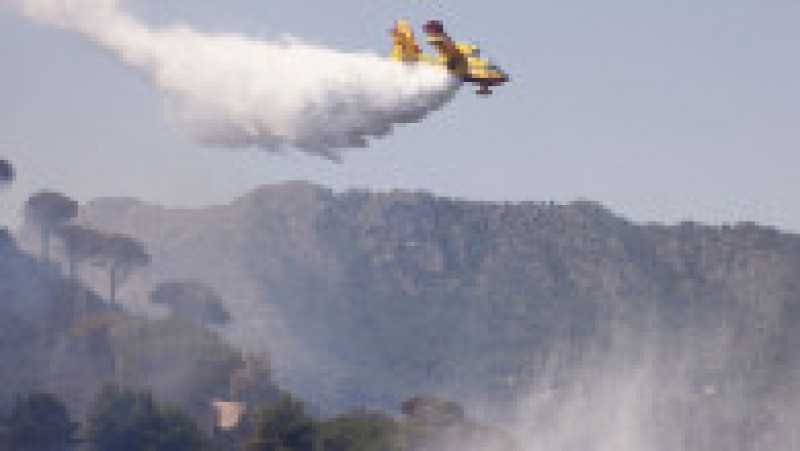 Dealurile din Palermo au luat foc, aeroportul a fost închis. FOTO: Profimedia Images | Poza 5 din 12