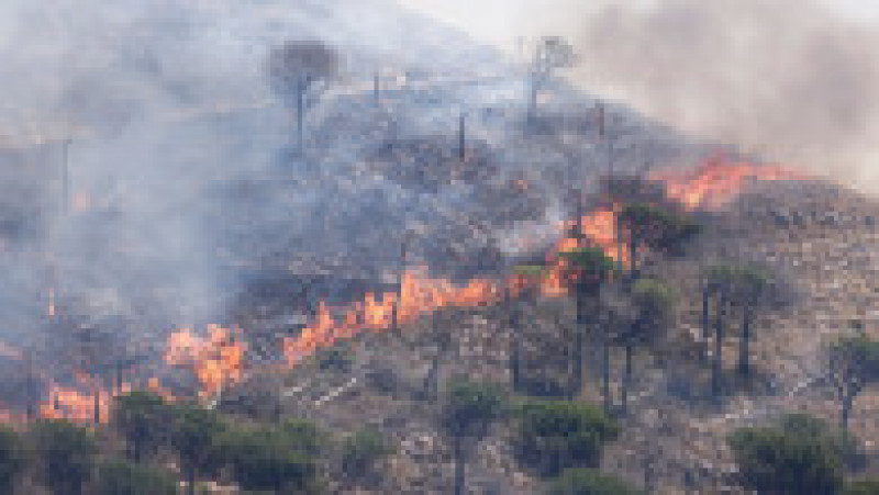 Dealurile din Palermo au luat foc, aeroportul a fost închis. FOTO: Profimedia Images | Poza 7 din 12