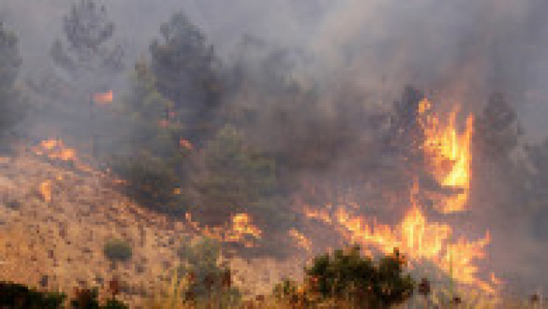 Dealurile din Palermo au luat foc, aeroportul a fost închis. FOTO: Profimedia Images | Poza 3 din 12