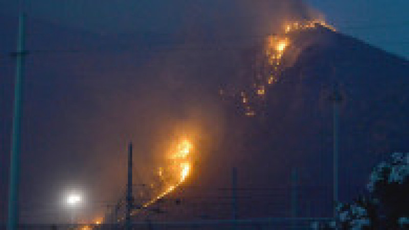 Dealurile din Palermo au luat foc, aeroportul a fost închis. FOTO: Profimedia Images | Poza 8 din 12