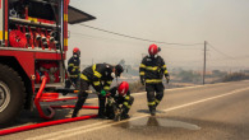 Pompierii români salvează animale în insula Rodos. Sursa foto: Profimedia Images | Poza 16 din 16