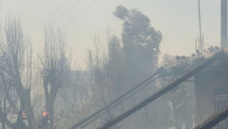 Pompierii români salvează animale în insula Rodos. Sursa foto: IGSU | Poza 14 din 16