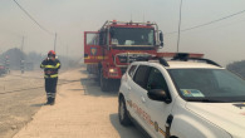 Pompierii români salvează animale în insula Rodos. Sursa foto: IGSU | Poza 13 din 16
