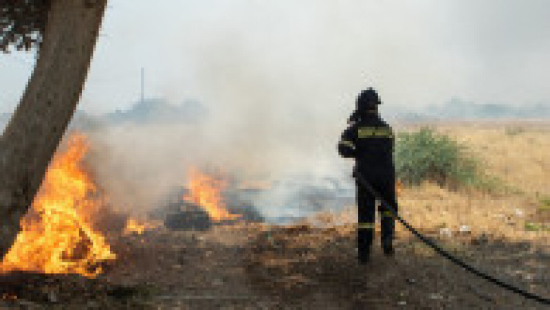Pompierii români în insula Rodos. Sursa foto: Profimedia Images | Poza 7 din 16