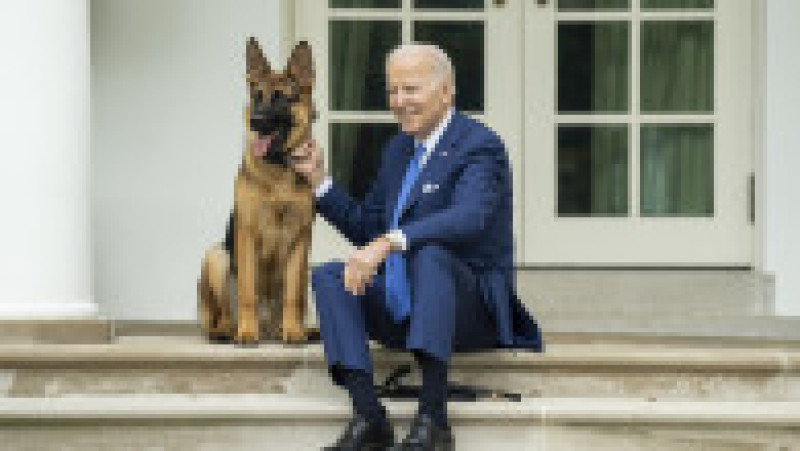 Cățelușul este numit „Comandant” și a fost un cadou de ziua președintelui de la fratele său James Biden și de la cumnata Sara Biden. Foto: Profimedia Images | Poza 9 din 9