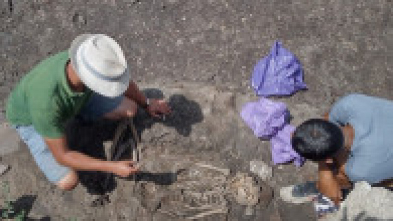 Descoperiri arheologice pe șantierul de la Altip. Sursa foto: Alba24 | Poza 4 din 7