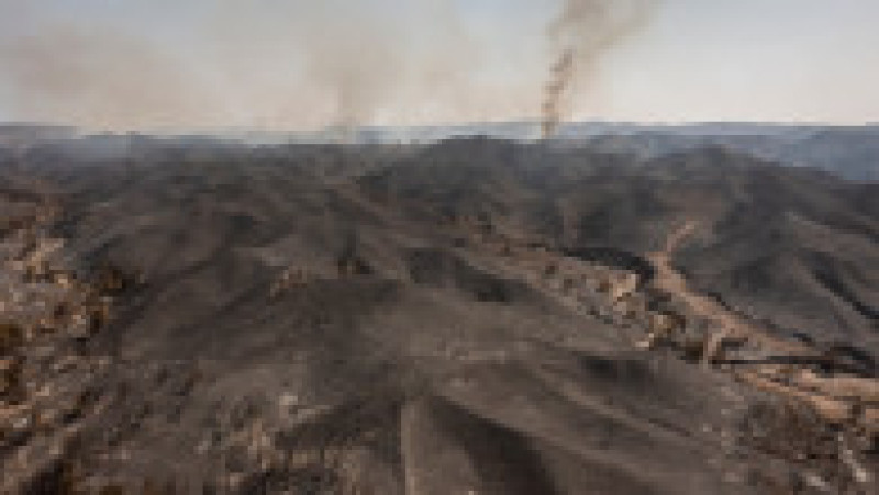 Incendii puternice pe insula turistică Rodos, din Grecia. Foto: Profimedia Images | Poza 3 din 9