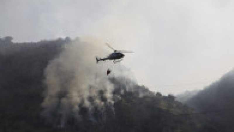 Elicoptere cu apă au fost trimise pentru stingerea incendiilor din apropiere de Palermo. Foto: Profimedia Images | Poza 6 din 9