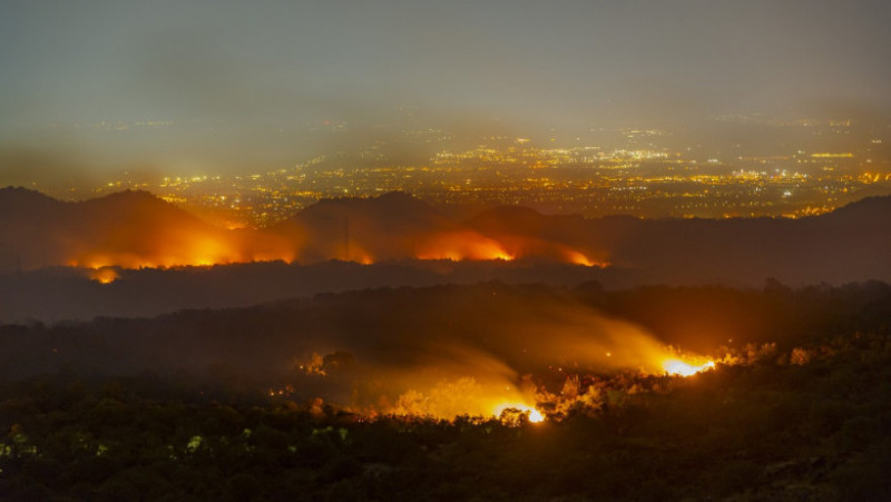 Incendii puternice de vegetație au izbucnit în Italia. FOTO: Profimedia Images
