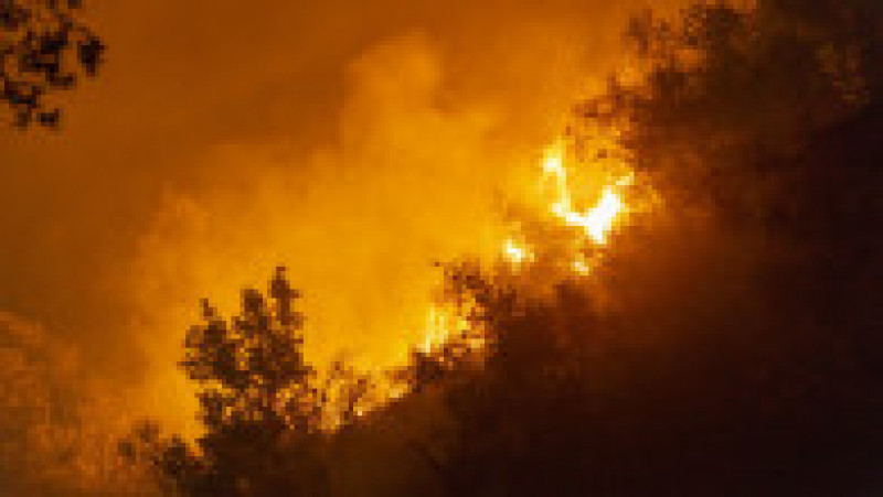 Incendii puternice de vegetație au izbucnit în Italia. FOTO: Profimedia Images | Poza 3 din 5