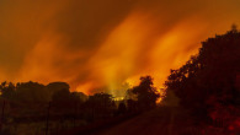 Incendii puternice de vegetație au izbucnit în Italia. FOTO: Profimedia Images | Poza 4 din 5