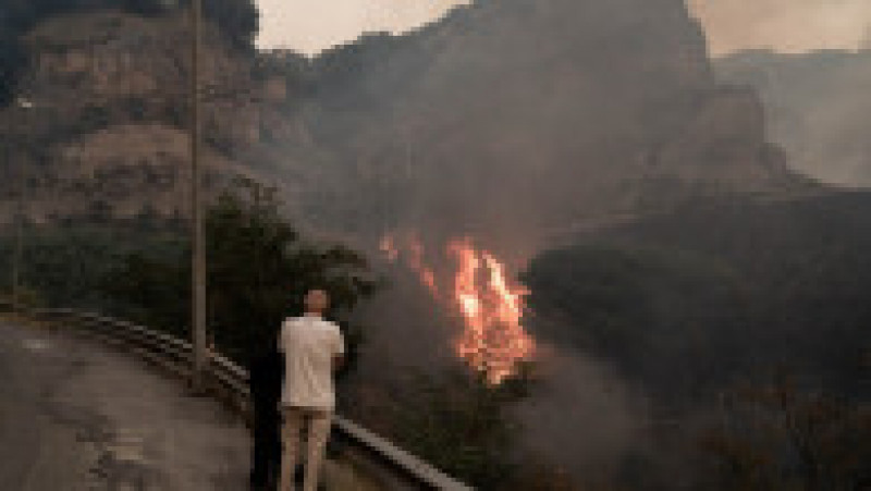 În Calabria, oamenii suspectează că mare parte dintre incendii, chiar 80%, ar fi fost provocate de oameni. FOTO: Profimedia Images | Poza 8 din 11