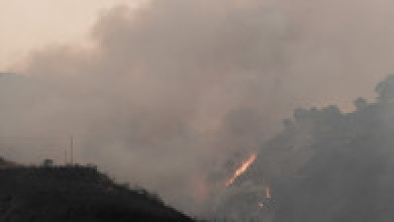 În Calabria, oamenii suspectează că mare parte dintre incendii, chiar 80%, ar fi fost provocate de oameni. FOTO: Profimedia Images | Poza 9 din 11
