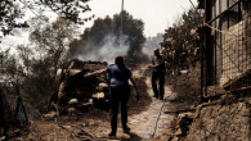 În Calabria, oamenii suspectează că mare parte dintre incendii, chiar 80%, ar fi fost provocate de oameni. FOTO: Profimedia Images | Poza 3 din 11