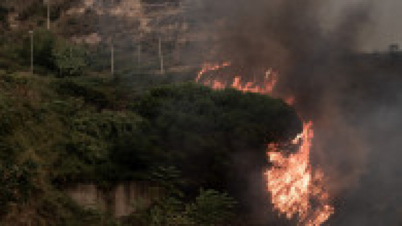 În Calabria, oamenii suspectează că mare parte dintre incendii, chiar 80%, ar fi fost provocate de oameni. FOTO: Profimedia Images | Poza 5 din 11