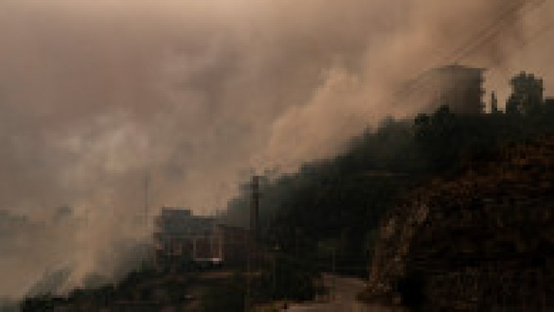 În Calabria, oamenii suspectează că mare parte dintre incendii, chiar 80%, ar fi fost provocate de oameni. FOTO: Profimedia Images | Poza 6 din 11