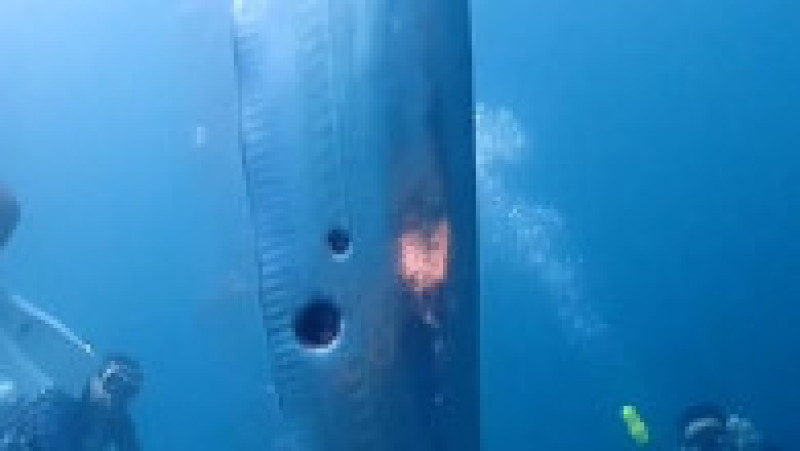 Scafandrii au întâlnit în adânc, în largul coastei Taiwanului, cu un pește extrem de rar - peștele vâslă sau peștele care vestește cutremurul FOTO: Profimedia Images | Poza 11 din 15