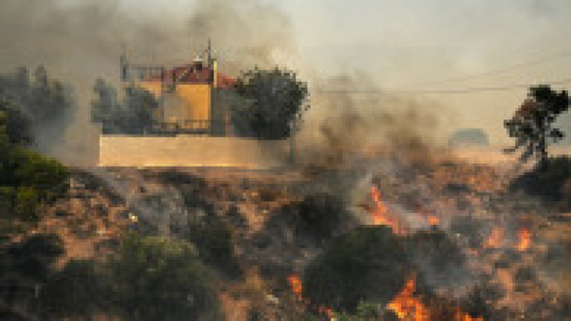 Incendiile din Grecia au lăsat în urmă scene apocaliptice FOTO: Profimedia Images | Poza 22 din 28
