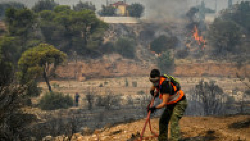Incendiile din Grecia au lăsat în urmă scene apocaliptice FOTO: Profimedia Images | Poza 14 din 28