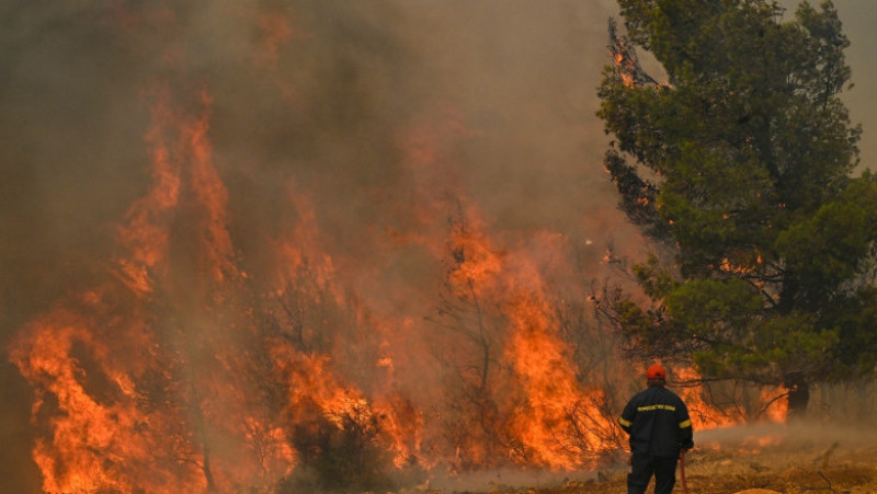 Incendiile din Grecia au lăsat în urmă scene apocaliptice FOTO: Profimedia Images