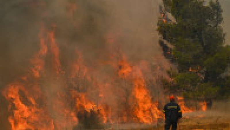Incendiile din Grecia au lăsat în urmă scene apocaliptice FOTO: Profimedia Images | Poza 1 din 28