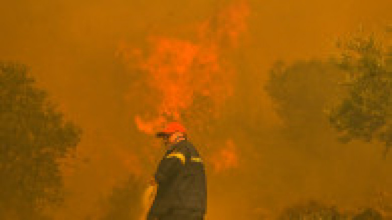 Incendiile din Grecia au lăsat în urmă scene apocaliptice FOTO: Profimedia Images | Poza 4 din 28