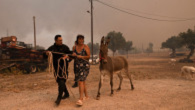 Incendiile din Grecia au lăsat în urmă scene apocaliptice FOTO: Profimedia Images | Poza 6 din 28