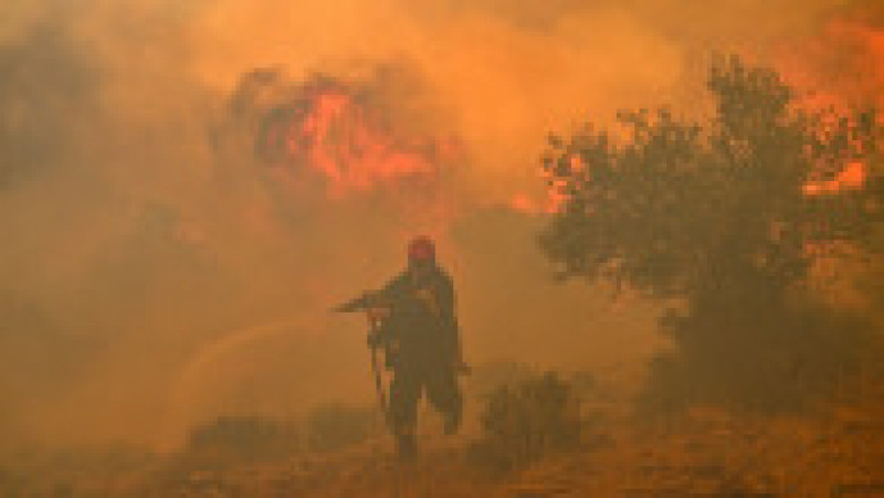 Incendiile din Grecia au lăsat în urmă scene apocaliptice FOTO: Profimedia Images | Poza 20 din 28