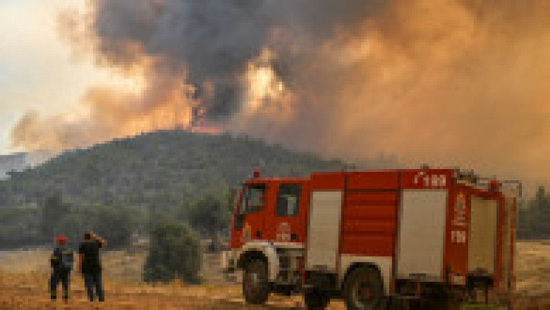 Incendiile din Grecia au lăsat în urmă scene apocaliptice FOTO: Profimedia Images | Poza 7 din 28