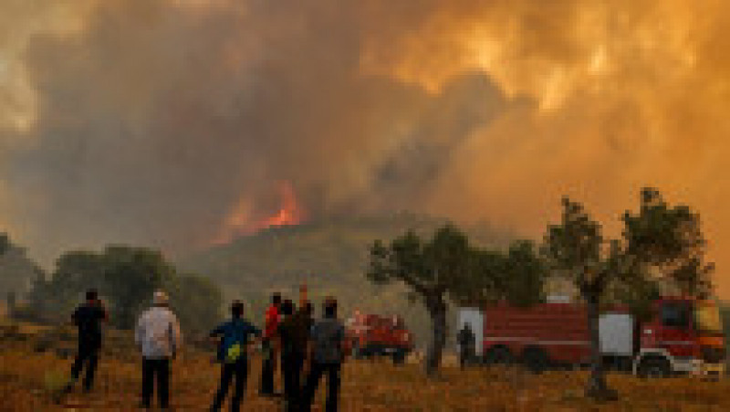 Incendiile din Grecia au lăsat în urmă scene apocaliptice FOTO: Profimedia Images | Poza 3 din 28