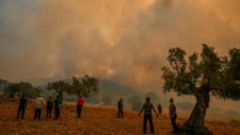 Incendiile din Grecia au lăsat în urmă scene apocaliptice FOTO: Profimedia Images | Poza 2 din 28