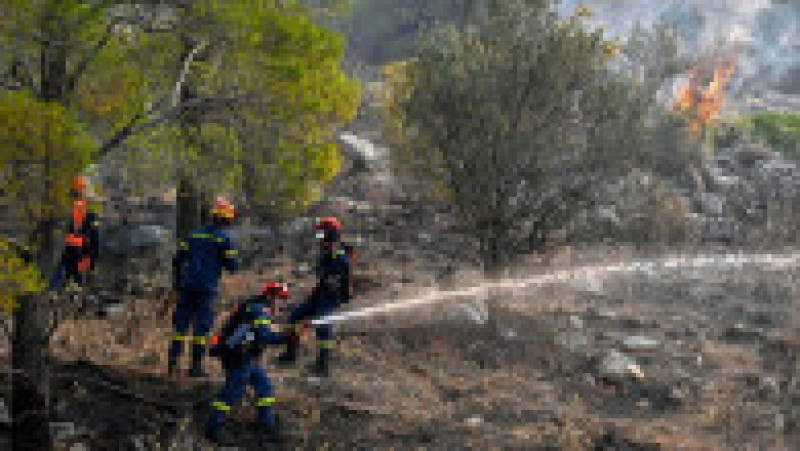 Incendiile din Grecia au lăsat în urmă scene apocaliptice FOTO: Profimedia Images | Poza 21 din 28