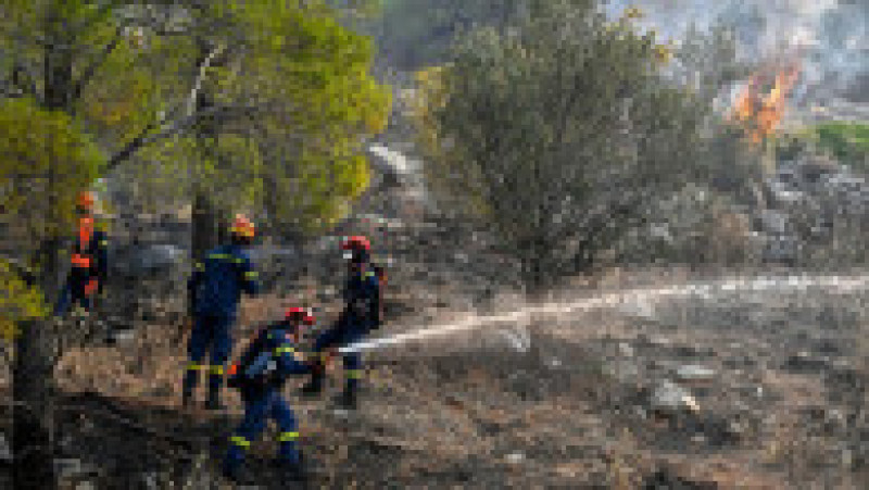 Incendiile din Grecia au lăsat în urmă scene apocaliptice FOTO: Profimedia Images | Poza 21 din 28