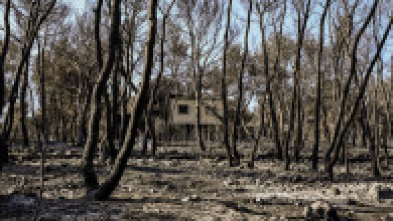 Incendiile din Grecia au lăsat în urmă scene apocaliptice FOTO: Profimedia Images | Poza 16 din 28