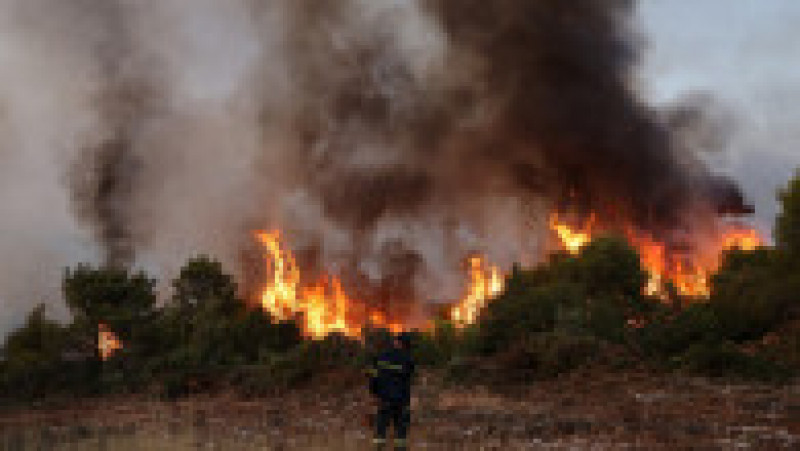 Incendii în Grecia. Foto Profimedia Images | Poza 4 din 8