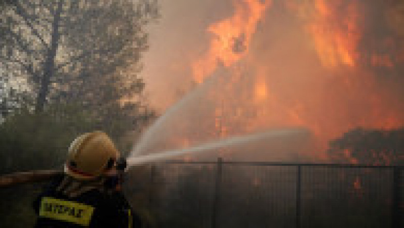 Incendii în Grecia. Foto Profimedia | Poza 5 din 8