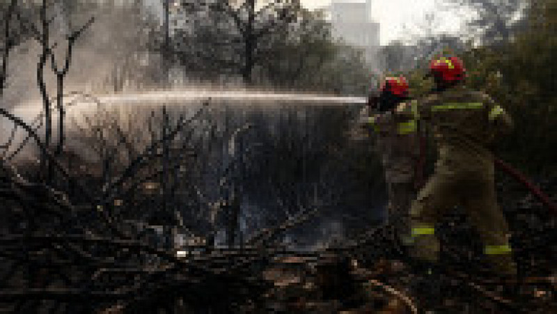 Incendii în Grecia. Foto Profimedia | Poza 8 din 8