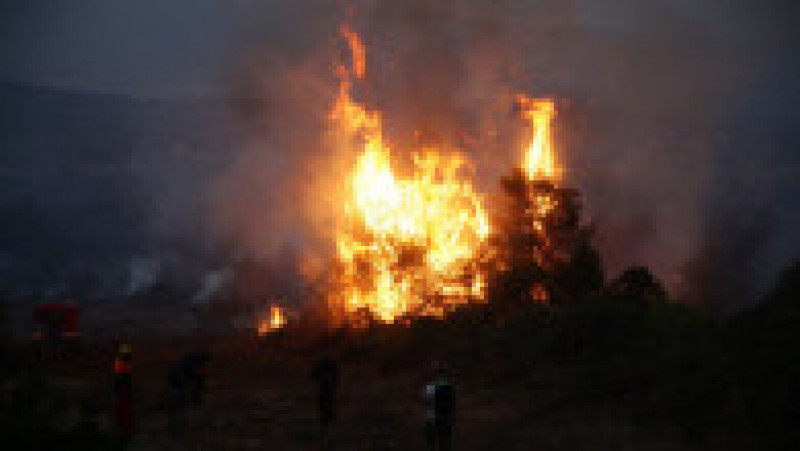 Incendii în Grecia. Foto Profimedia | Poza 7 din 8