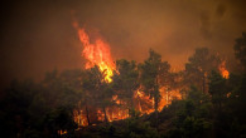 Incendiile de vegetație fac ravagii în Grecia. FOTO: Profimedia Images | Poza 4 din 7